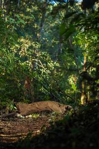 BIB: 
                            <button type="button" onclick="openModal(19245787)" class="btn btn-primary btn-sm float-right btn-popup" data-toggle="modal" data-target=".modal-high-quality">
                        <i class="fas fa-shopping-cart"></i> Add to Cart
                    </button>
                                            <button type="button" onclick="isThisMe(19245787, true)" class="btn btn-success btn-sm float-right btn-popup btn-isme hidden" data-toggle="tooltip" data-placement="bottom" title="นี่คือรูปของคุณใช่ไหม คลิกที่นี่เพื่อเอาเข้าอัลบั้ม">
                        <i class="fas fa-plus"></i> Add to album
                    </button>
                    <button type="button" onclick="isThisMe(19245787, false)" class="btn btn-warning btn-sm float-right btn-popup btn-isnotme hidden">
                        <i class="fas fa-ban"></i> Remove from album
                    </button>